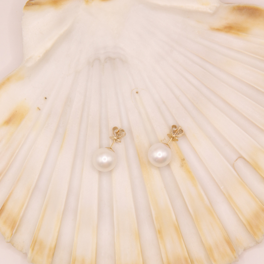 Jewelmak's 14k White Gold 7mm Freshwater Pearl Stud Earrings, featuring AAA+ quality pearls, are elegantly displayed on a large seashell with a ridged texture and subtle brown accents, creating a nautical and sophisticated aesthetic.