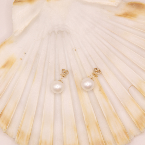 The 14k White 9mm Freshwater Pearl Stud Earrings at Goddess Jewelry, featuring bow-shaped metal accents, rest elegantly on a large textured seashell in beige and white hues, embodying the essence of Goddess Jewelry.